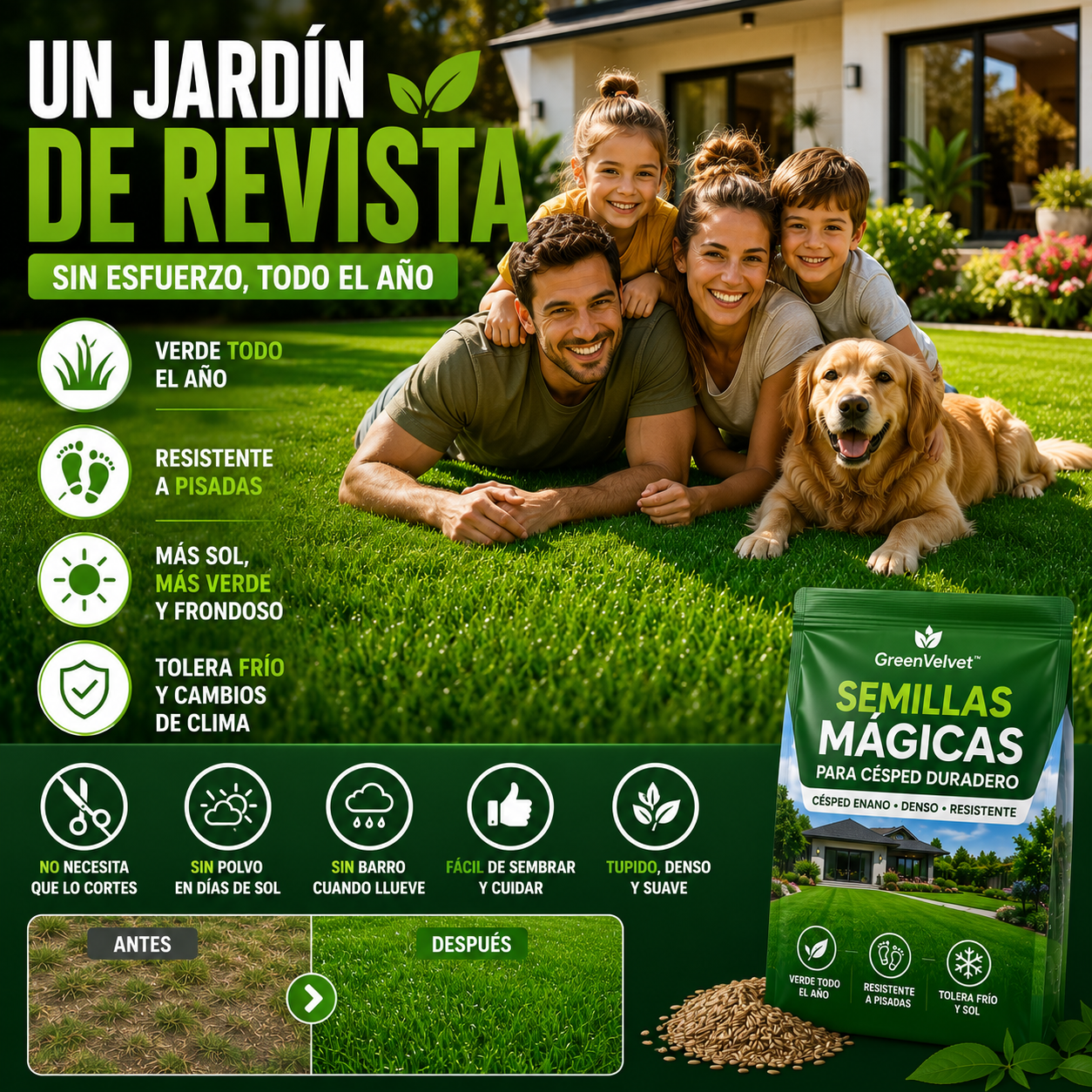 Semillas Mágicas GreenVelvet™ – para un Césped Verde, Tupido y Duradero + 🎁 Guía “7 Secretos para Tener un Jardín de Revista”+ Envío Gratis