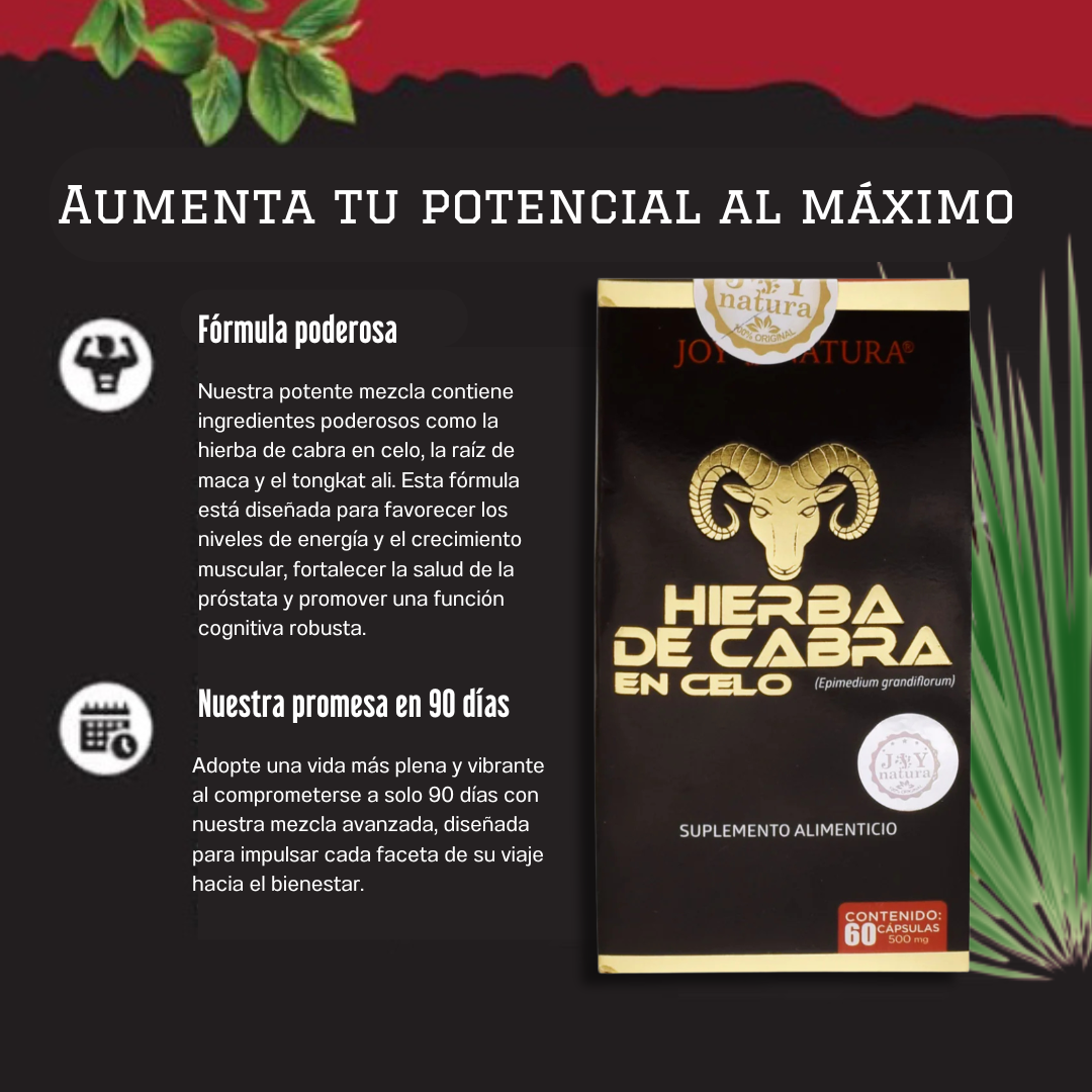 60 Capsulas HIERBA DE CABRA EN CELO 💪🏼🔥: Recupera tu Masculinidad y vitalidad + Manual "Cómo activar tu energía masculina: Vitalidad y Desempeño Intimo"⚡🫀🏃
